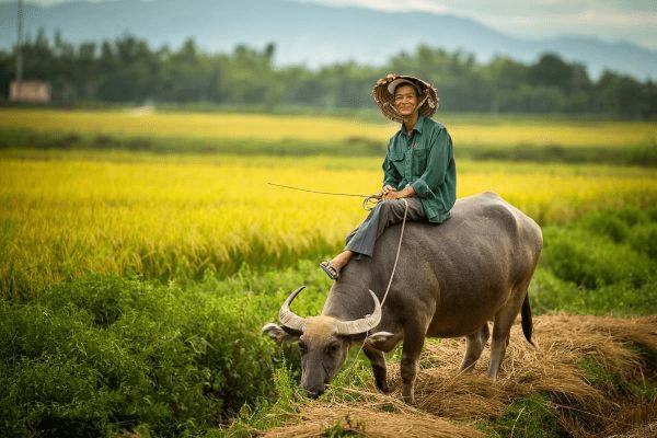 Giao thoa giữa bình yên và văn hóa